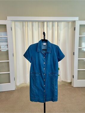 CAbi Piece of Cake Dress
